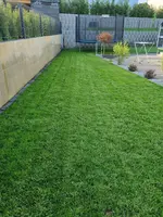 20210610_191516.webp