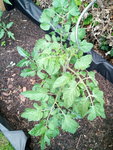 IMG_20210610_204053_2.jpg
