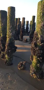 20210610_212940.webp