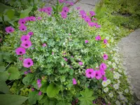DSCF4691 (2).webp
