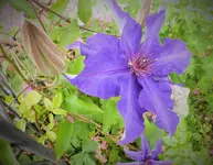 DSCF4695 (2).webp