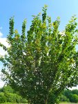 IMG_20210611_113658.jpg