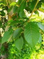 IMG_20210611_113711.webp