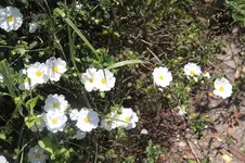 _MG_0889.webp