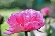 image001.webp