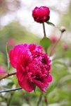 image005.jpg