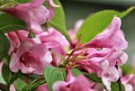 image010.jpg