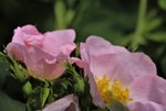 image014.jpg