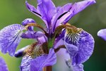 image016.jpg