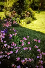 IMG_20210611_1526267-01.webp