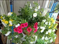 c068.webp