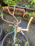 IMG_3886.jpeg