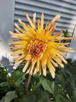 20210611_174511.webp