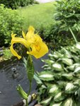 54EC1DF9-7686-463B-ACFA-0E0600E87654.jpeg