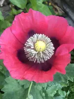 5F64B3DE-419D-4915-B309-C152AFC0B047.webp
