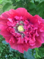 A30D2458-CD69-4249-A31F-DDD10E294136.webp
