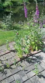 20210611_113901.jpg