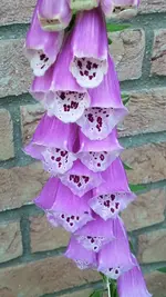 20210610_122015.webp
