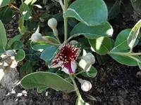 IMG_20210610_155901.webp