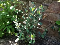 IMG_20210610_155959.webp