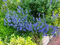 DSC01763.JPG