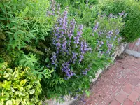 DSC01764.JPG
