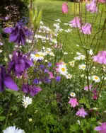 IMG_20210612_0623309-01.webp