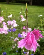 IMG_20210612_0624054-01.webp