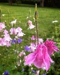 IMG_20210612_0624054-01.jpeg