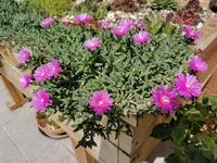 IMG_20210604_111129.webp
