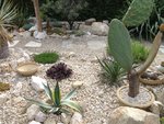 IMG_0291.JPG
