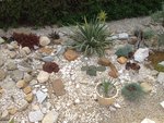 IMG_0293.JPG