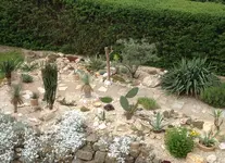 IMG_0296a.webp
