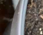 127976B6-F28E-497D-8A70-17775DEDEB74.jpeg