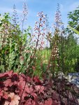 k-20210612_094450.jpg