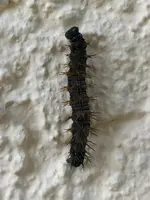 IMG_20210610_092605.webp