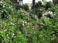 IMG_4193.webp