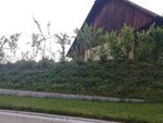 IMG_20210612_212759.jpg