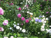 IMG_4184.webp