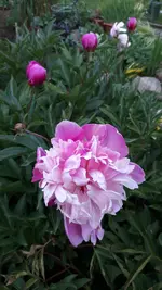 20210612_203223.webp