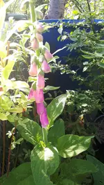 20210610_170357.webp