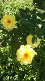 20210609_165201.webp