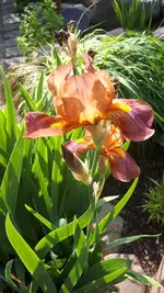 20210610_170419.webp