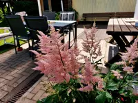 Streifzug durch den Garten 9.webp