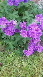20210613_131806.jpg