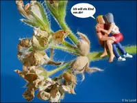 c001.webp