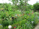 IMG_7480.JPG