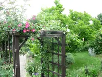 IMG_7498.JPG