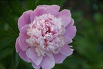 DSC09927.JPG