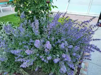IMG_20210613_190221.webp